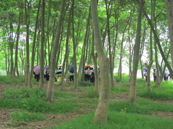 北湖北路学校组织学生到科普园春游