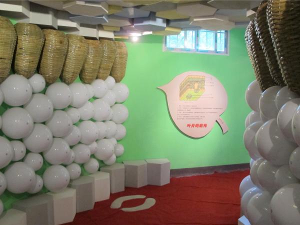 植物园叶子屋 植物园叶子屋