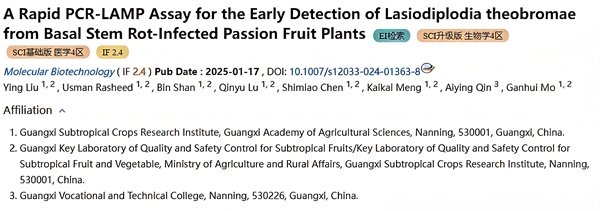 upfile 图片1_副本.jpg