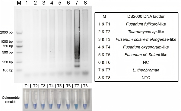 upfile 图片2_副本.jpg