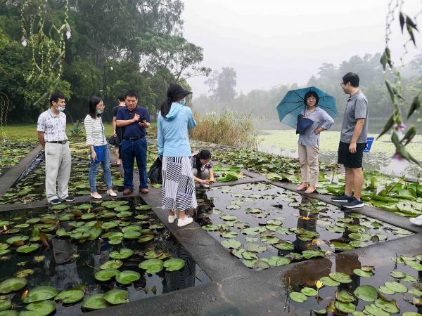 广西热作所党委书记池昭锦率调研组赴中国科学院华南植物园开展调研交流