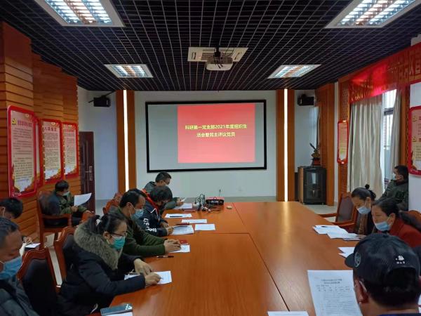 广西热作所科研第一党支部召开组织生活会暨民主评议党员大会
