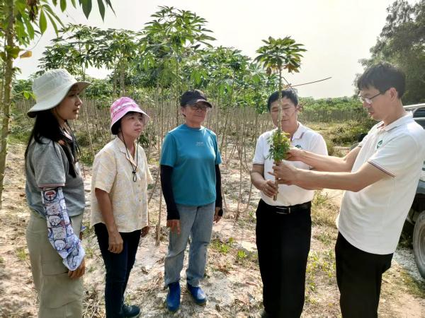 广西热作所专家赴泰国开展项目实施活动