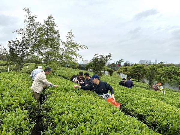 广西热作所加工工程技术中心党支部和科研第一党支部联合开展廉洁教育主题党日活动