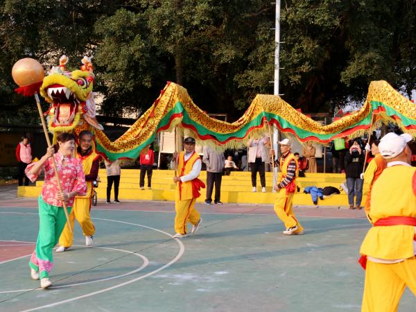 广西热作所成功举办2025年“祥龙辞岁留祥瑞 灵蛇纳福启新程”新春游园活动