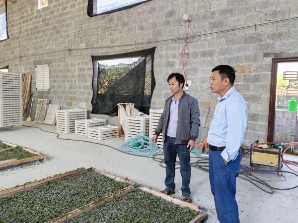 国家乡村振兴重点帮扶县广西都安科技特派团团长到都安开展蚕桑产业调研帮扶服务