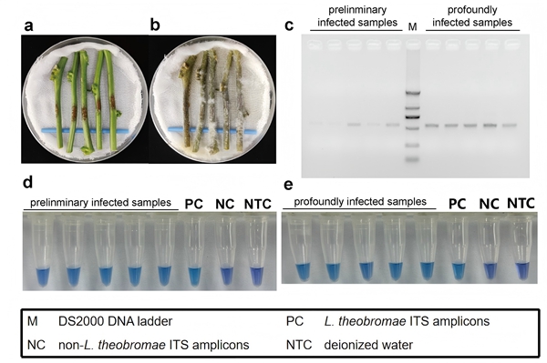 upfile 图片3_副本.jpg