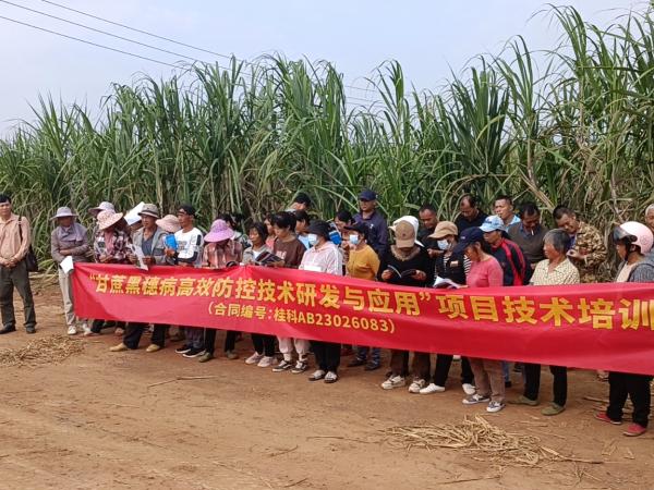 广西热作所科技人员赴横州市开展甘蔗栽培技术培训