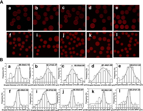 1750994844506921.jpg 图 3_副本.jpg