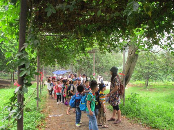 北湖北路学校组织学生到科普园春游