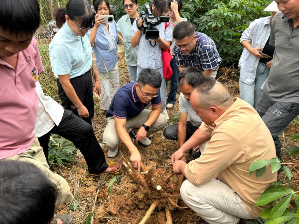 广西热作所科技人员赴柳州市鹿寨县开展科技培训