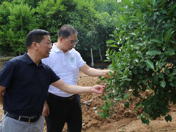 广西热作所到华中农业大学园艺林学学院开展合作交流
