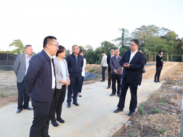 广西亚热带特色作物科技创新基地(上思)项目推进会在广西热作所召开