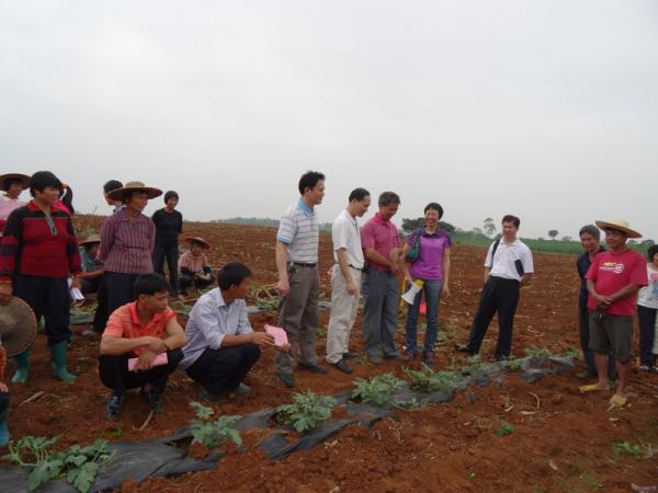 我所分别在桂平市和平南县举办木薯栽培技术培训班