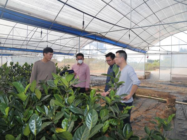 广西热作所菠萝蜜研究团队到玉林等地开展科技服务