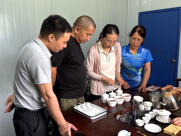 广西茶叶产业创新团队南宁试验站赴马山开展技术指导及试验