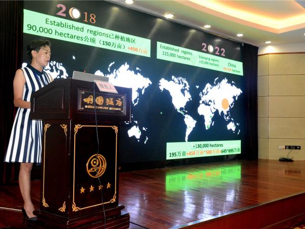 2019年中国澳洲坚果产业发展论坛 聚焦产业发展 助力脱贫攻坚