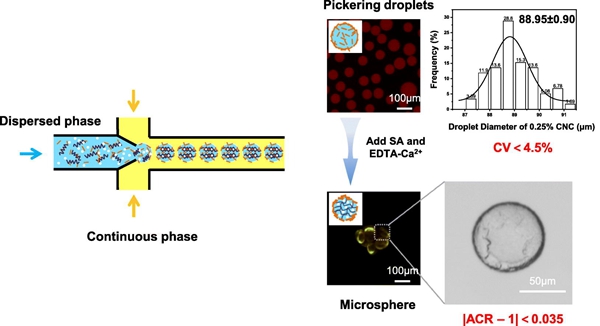 1750994776406629.jpg 图 2论文摘要图_副本.jpg