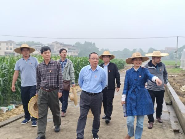 广西热作所科研第三党支部赴崇左开展党建科技交流活动