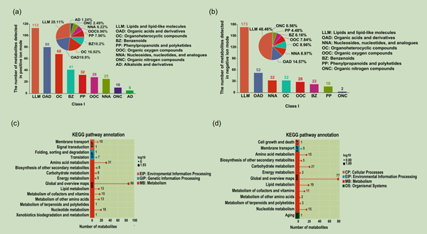 1773127276218933.png 2_副本.png