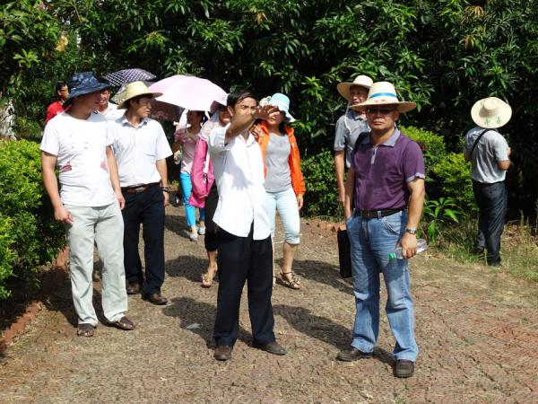 广西热作所4个种质资源保护项目顺利通过农业部南亚办的中期检查