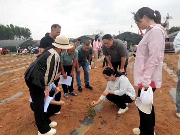 广西热作所科研第一党支部党员开展春耕指导工作