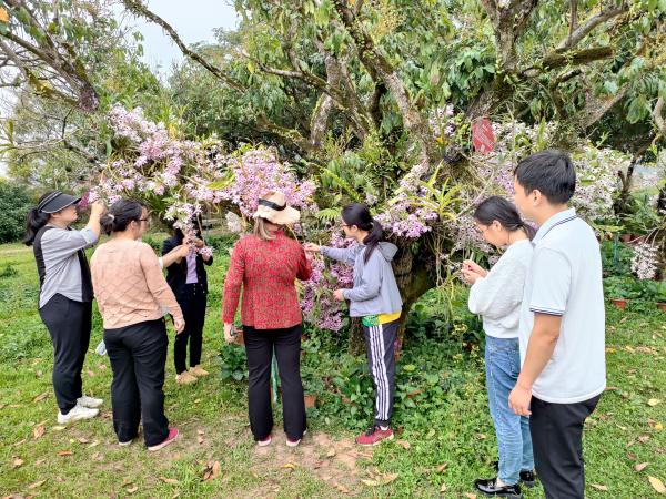 广西热作所机关第二党支部党员开展科技服务活动