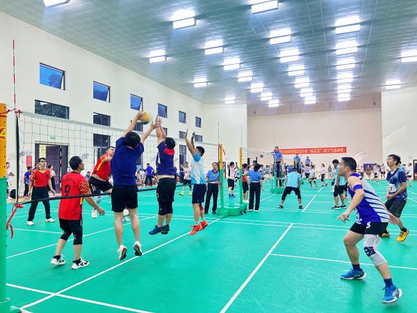 广西热作所气排球队在广西农业科学院2025年职工气排球赛中勇创佳绩