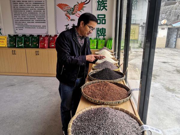 刘功德:助推特色杂粮城市早餐食品研发,让老百姓吃好喝好