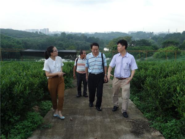 台湾屏东科技大学副校长颜昌瑞教授到广西热作所访问