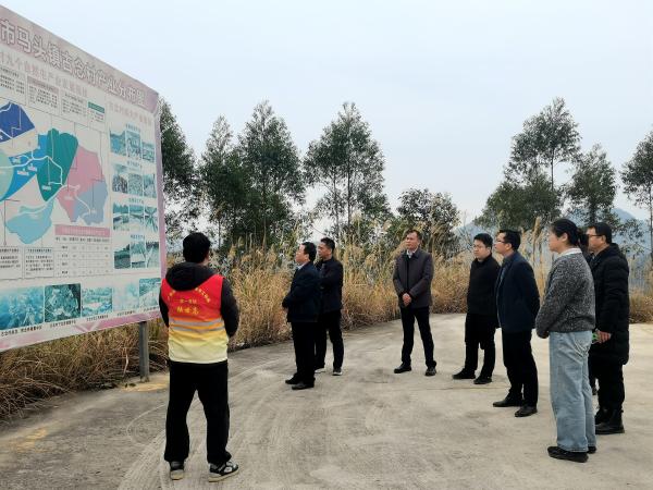 广西热带作物学会受广西科协邀请到平果市开展产业发展规划调研