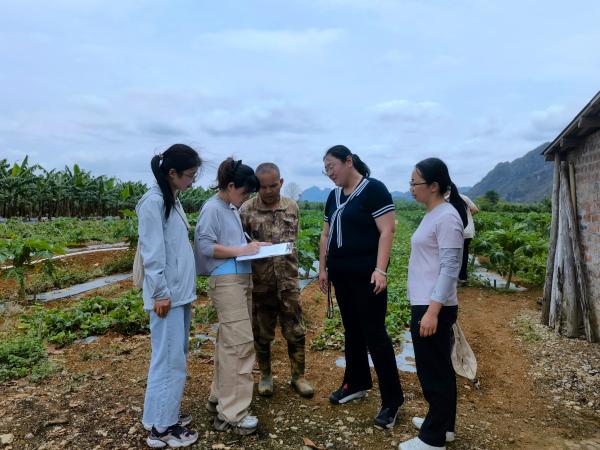 广西热作所科技人员赴龙州开展番木瓜安全用药技术指导