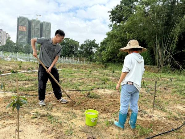 广西热作所科技人员赴南宁乡村大世界开展咖啡生态栽培技术服务