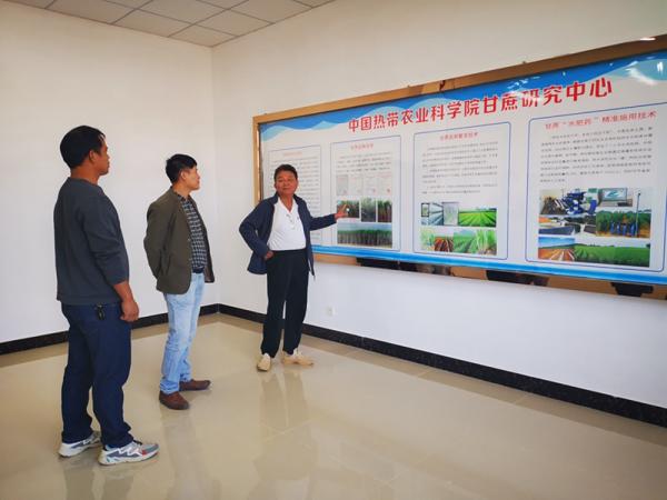 广西热作所甘蔗研究团队赴中国热带农业科学院广西研究院调研交流