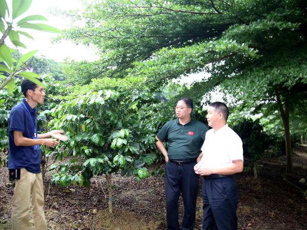 中国热带农业科学院香料饮料研究所唐冰一行到广西热作所座谈交流