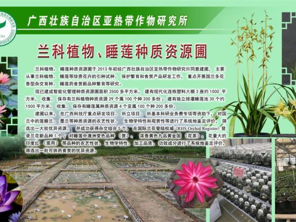 兰科、睡莲种质圃 兰科、睡莲种质圃