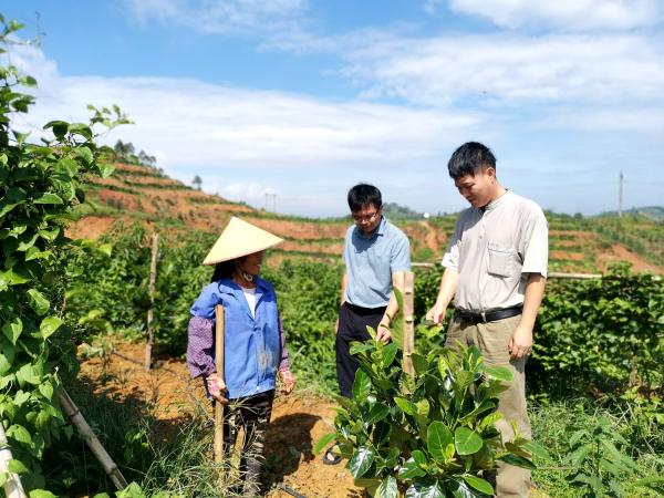 广西热作所特色水果产业科技先锋队到博白县开展技术服务