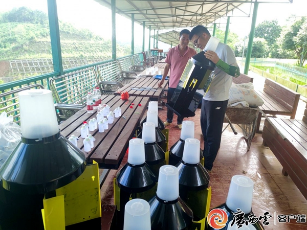 upfile 现场示范制作害虫诱捕装置。_副本.jpg