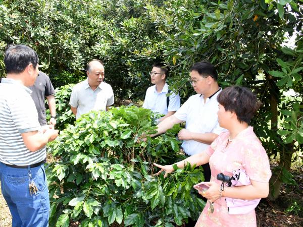 广西壮族自治区水果技术指导站到广西热作所开展调研交流活动