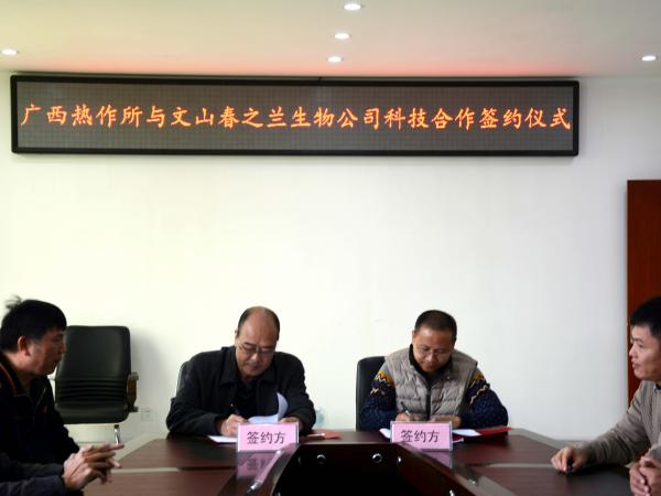 广西热作所与文山春之兰生物科技有限公司签订合作协议