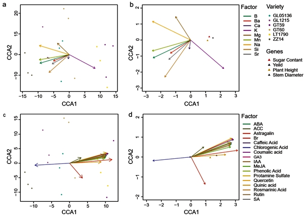 1760950092791726.jpg 图2_副本.jpg