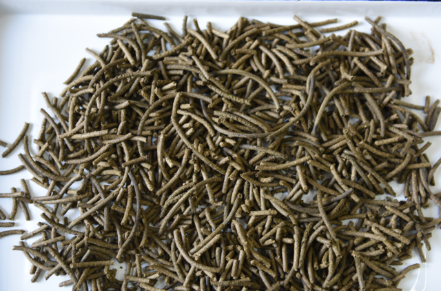 剑麻麻渣饲料颗粒。.png