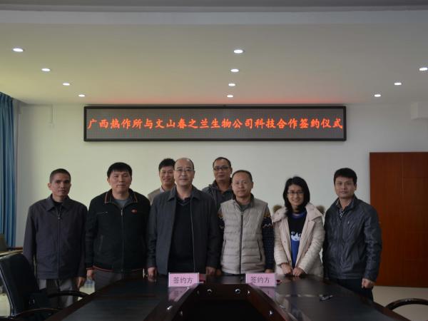 广西热作所与文山春之兰生物科技有限公司签订合作协议