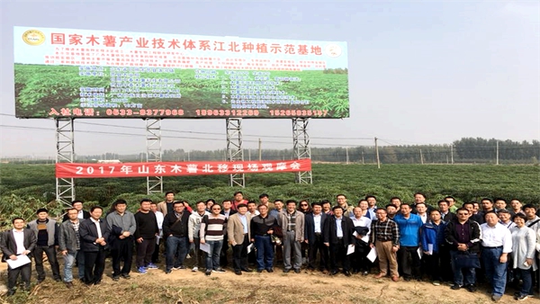 2017年在山东举办全国木薯北移现场会_副本.jpg