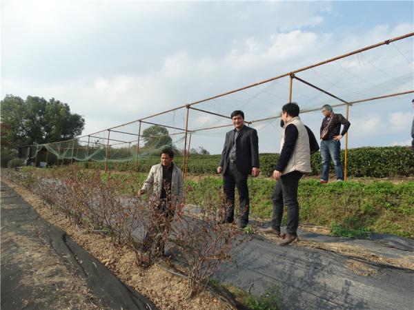 南宁市马山县科技局局长李伟一行莅临广西热作所交流