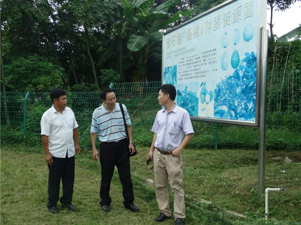 台湾屏东科技大学副校长颜昌瑞教授到广西热作所访问