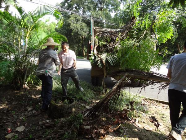 热作所开展“美丽农垦﹒清洁热作所”活动