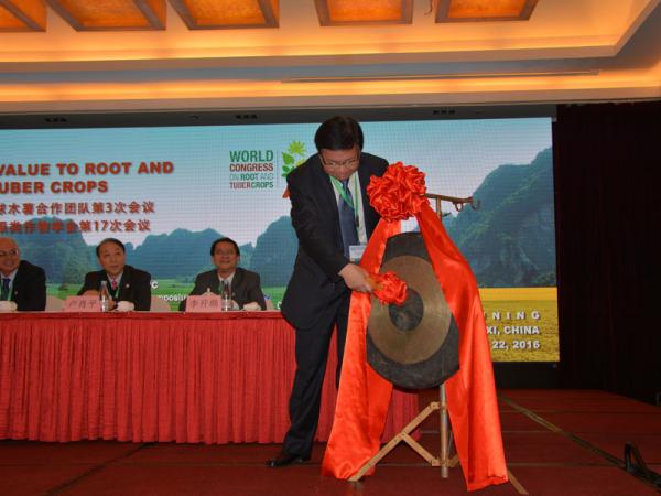 21世纪全球木薯合作团队第3次会议暨国际块根类作物学会第17次会议在南宁隆重召开