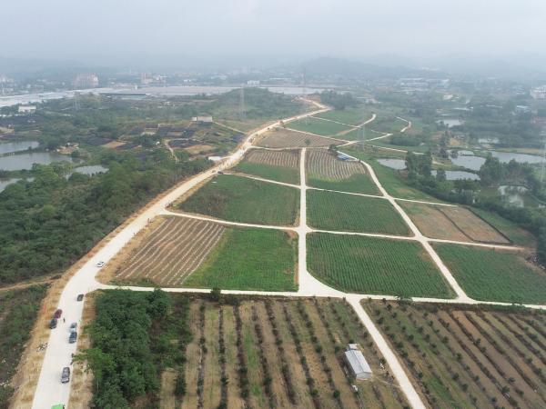 广西新闻网:广西热作所开展“学党史、守初心 建设一流基地 促科研发展”主题实践活动