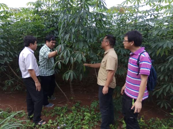 广西热作所科技人员赴越南考察